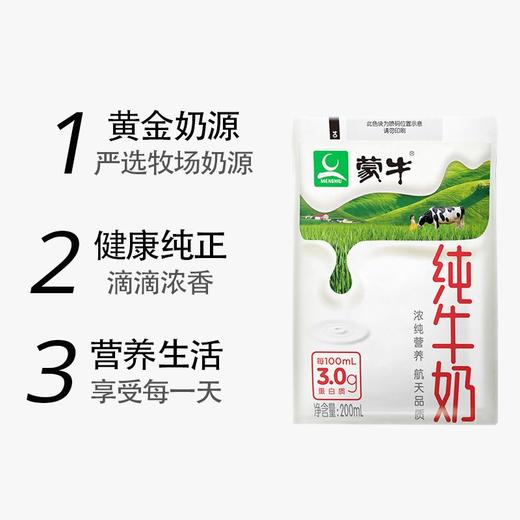 T蒙牛200ml百利包纯牛奶*16 商品图1