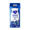 蒙牛200g纯甄蓝莓果粒风味酸奶*10 商品缩略图1