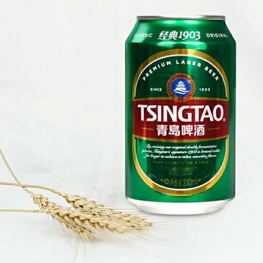 C青岛330ml经典1903啤酒六连包（箱） 商品图3