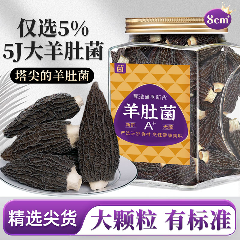 在菌屋精品大个头羊肚菌80g/罐 8cm以上大颗粒 个大肉厚鲜香丰腴