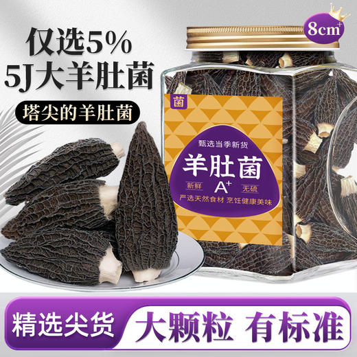 在菌屋精品大个头羊肚菌80g/罐 8cm以上大颗粒 个大肉厚鲜香丰腴 商品图0