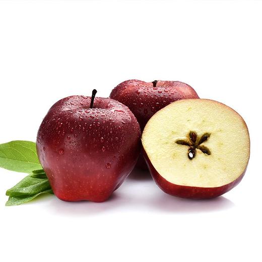 甘肃花牛苹果（长果）（500±50g） 商品图0