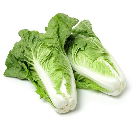 快菜（800±50g） 商品图0