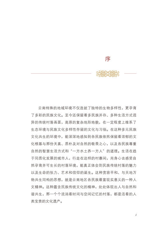艺术乡建：艺术介入云南传统村落保护与发展的策略与实践 商品图1