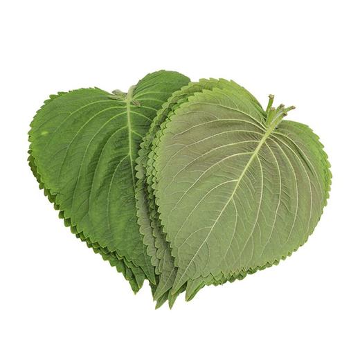 【春菜】苏子叶（份）约50g 商品图0