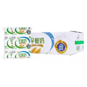伊利230ml利乐枕早餐奶*16