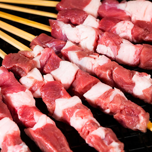 宁鑫羊肉串10串共200g 新鲜纯羊肉串制 户外烧烤 （158包邮） 商品图4