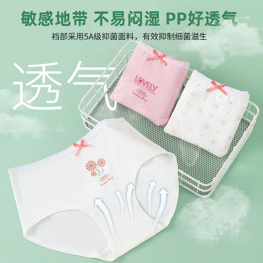 童童树5A抑菌裆部小清新裤卡通印花透气防夹臀版型女宝宝三角内裤 商品图5