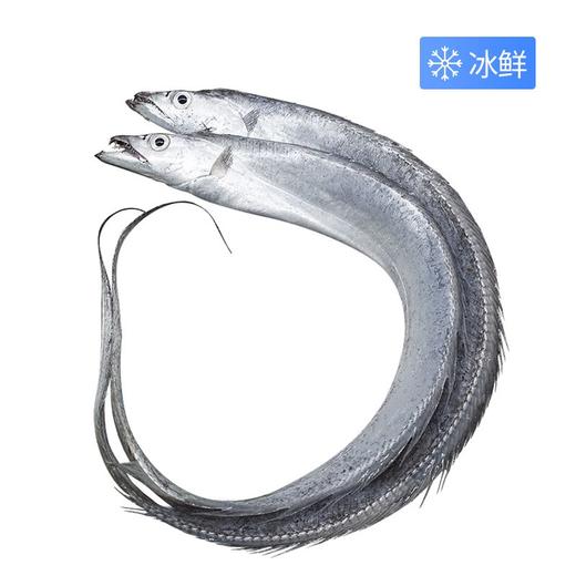 QY鲜带鱼大（500±50g） 商品图0