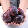 新鲜水果 郧阳区清凉寺黑布林李子2斤 商品缩略图3