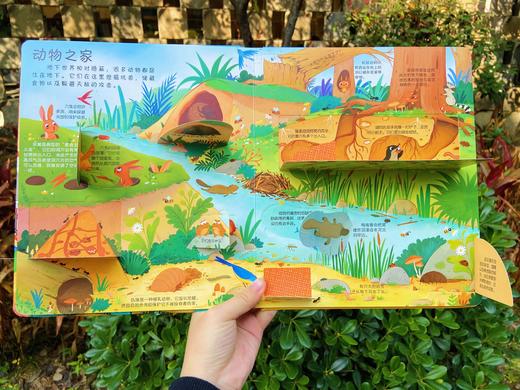 【精装硬壳绘本 小眼睛看大世界翻翻书 揭秘系列任选】2-12岁孩子的科学认知启蒙 商品图11