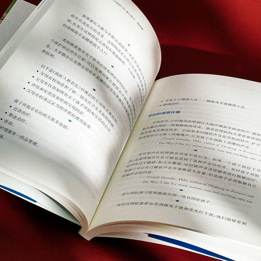 写给自闭症儿童父母的101条小贴士 男孩篇 孤独症特殊教育 儿童教育家庭教育指导操作性手册 商品图13