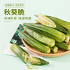 美味营养秋葵脆，10袋组合，精选新鲜秋葵，低温脱水工艺，保留更多秋葵原有营养，轻加工，拒绝添加剂，鲜香酥脆，营养美味M 商品缩略图0