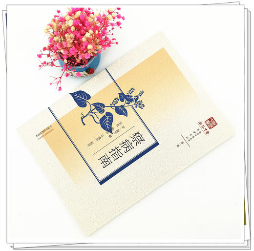 现货【出版社直销】察病指南（浙派中医系列丛书）(宋)施发 撰 第一辑 原著系列 中国中医药出版社 中医古籍 书籍 商品图2