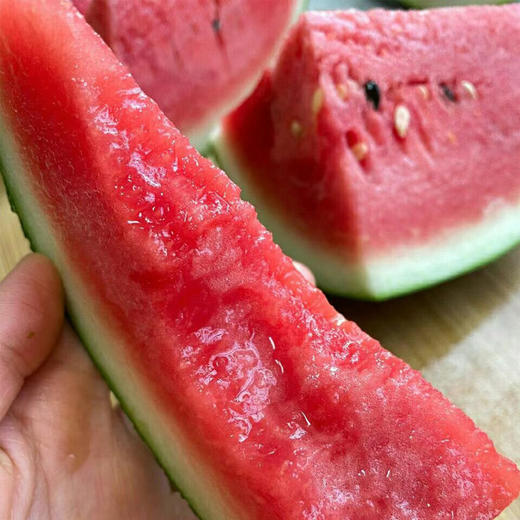 越南黑美人西瓜约3.5kg/个（超重部分补差价） 商品图4