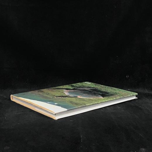 达尔文被遗忘的世界 189幅彩色插图 精装大16开 商品图2