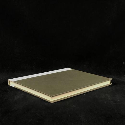 比亚兹莱画集 165幅插图 精装大16开 商品图1