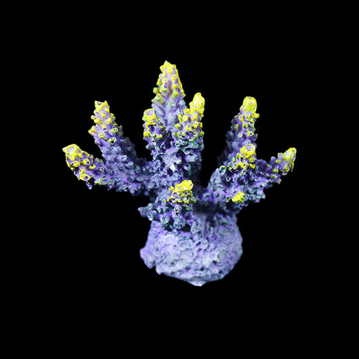 海缸造景摆设 仿真精品珊瑚摆件 商品图9