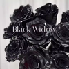 厄瓜多尔BLACK WIDOW黑蜘蛛染色玫瑰花10支 商品缩略图1