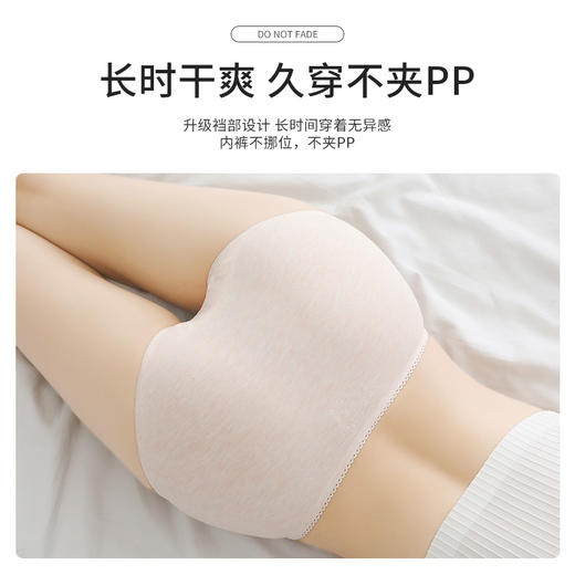 洁丽雅3条装女士内裤亲肤内裤女 商品图3