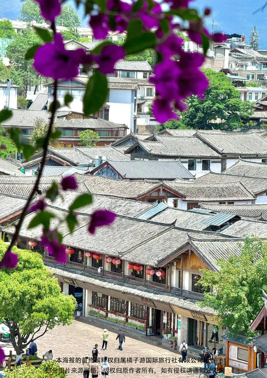 【学生毕业季】纯玩昆大丽6天 商品图2