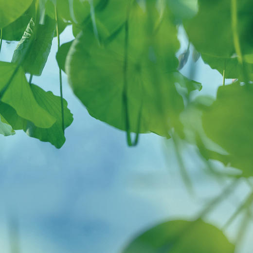 当下|入夏 音昱水中天夏日生活节 商品图0