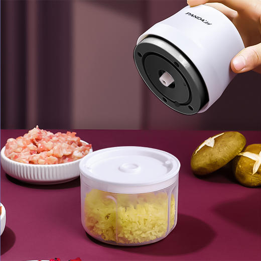 【自营】熊猫食物料理机TRLLJ01 商品图3