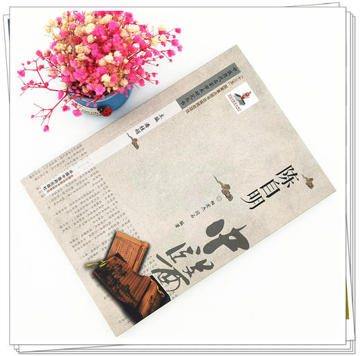 现货【出版社直销】陈自明 中医历代名家学术研究丛书 潘桂娟 著（十三五国家重点图书出版规划项目）中国中医药出版社 中医 书籍 商品图2