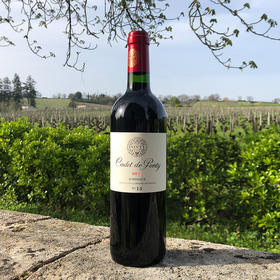 康德葡萄酒2020 Cadet de Ponty