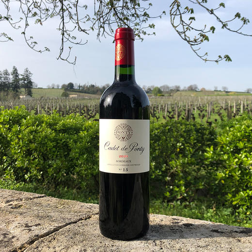 康德葡萄酒2020 Cadet de Ponty 商品图0
