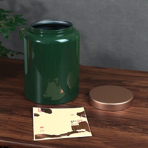 YP-603高罐 超大单罐一提  配卡盒【绿色·烤漆罐】55一套/一件8套 商品图3