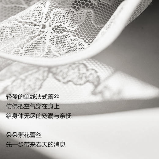 有棵树「兔耳杯」蕾丝小胸聚拢内衣文胸女-B7005 商品图1