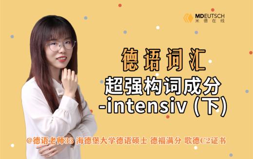 德语超强构词成分 -intensiv (下) 商品图0