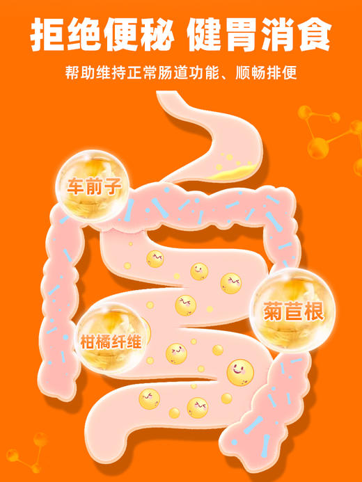 【26元任选2件】普安特鸡肉味猫条猫营养零食补水解馋亮泽被毛呵护视力便秘5条/包【2包】 商品图4