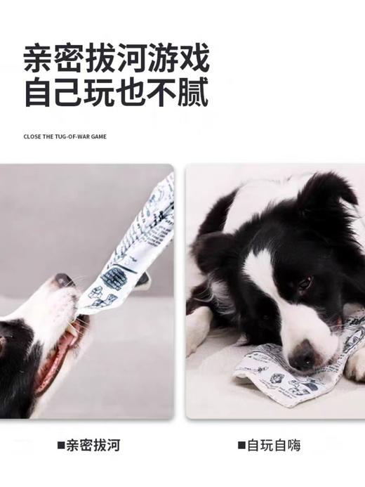 【响纸玩具地板价】毛绒仿真响纸薯片宠物狗狗玩具自嗨解闷 商品图10