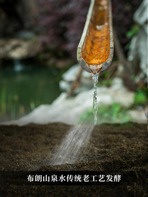 1月5日上午九点【大红印熟茶】2018年勐海布朗山熟茶，传承千百年的高端茶之代表 口感高甜润！稠滑米汤感过口不忘357克/饼茶叶 商品图9