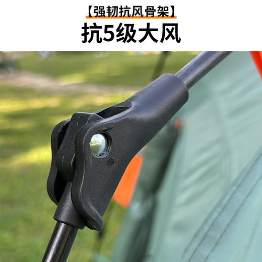 外交官DHW-7102帐篷（不退不换）（2-3人） 商品图5