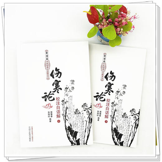 伤寒论校注白话解（上下册）郭霭春中医经典白话解系列 郭霭春 张海玲 编著 中国中医药出版社 商品图2