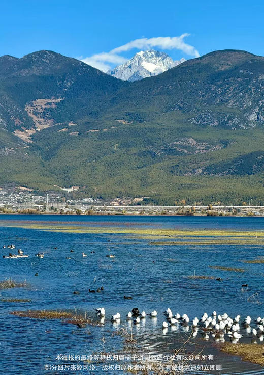 毕业季---青春不毕业】 昆明、大理、丽江双飞纯玩六日游 商品图2