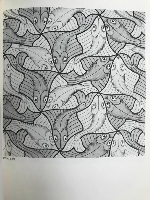 幻想与对称：埃舍尔纹样设计图集 42幅插图（12幅彩色） 精装16开 商品图14