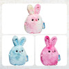 TS 玩具毛绒小兔子彩虹扎染10英寸玩偶 商品缩略图3