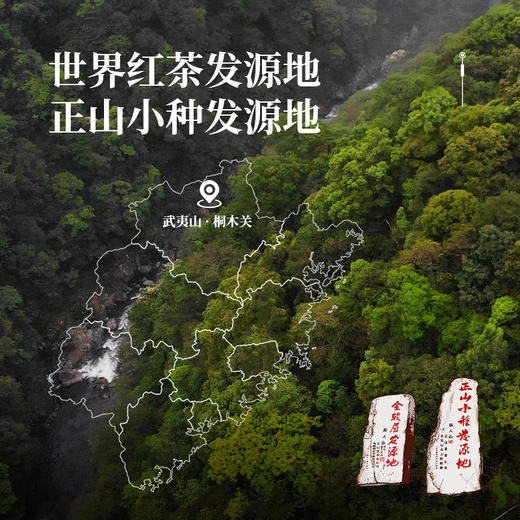 正山堂 特级正山小种 传统烟熏工艺罐装30g/50g/100g/礼盒90g/礼盒150g/礼盒200g 商品图5