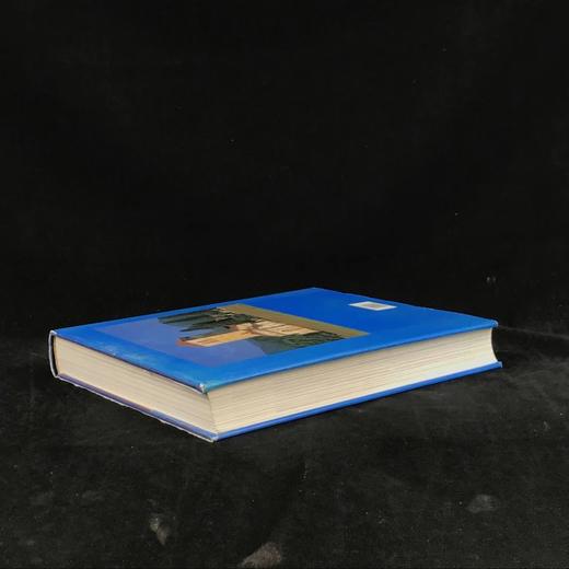 罗马式建筑，雕塑，绘画 数百幅插图 精装大16开 商品图2