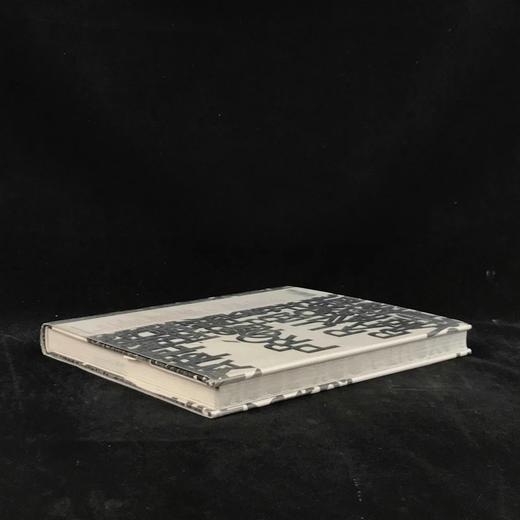 版面设计图集 数百幅插图 精装大16开 商品图2