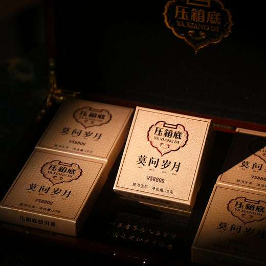 压箱底·莫问岁月40年+普洱生茶V58800（5泡） 商品图4