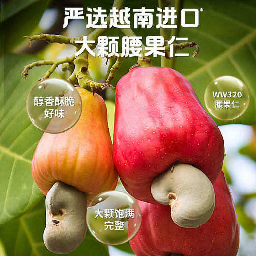 【满299减210】百草味风味腰果仁28g （意大利红烩味/火鸡面味/黄瓜味） 商品图4