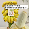 【禁止蕉虑，只待蕉黄！新鲜水培香蕉】新鲜带把香蕉整串，软糯香甜，小香蕉现砍青色现发带箱整串Y 商品缩略图0