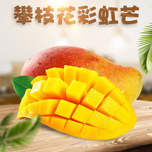 【分仓直发包邮】四川攀枝花彩虹芒5斤大果（9-12个） 商品图0