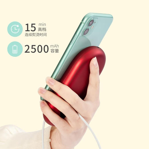 【小家电】西屋无线电熨斗WYD-80A 商品图3