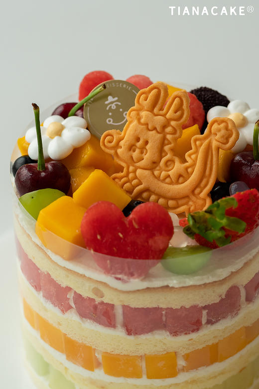 龙行龘龘前程朤朤（5寸缤纷水果） 商品图1